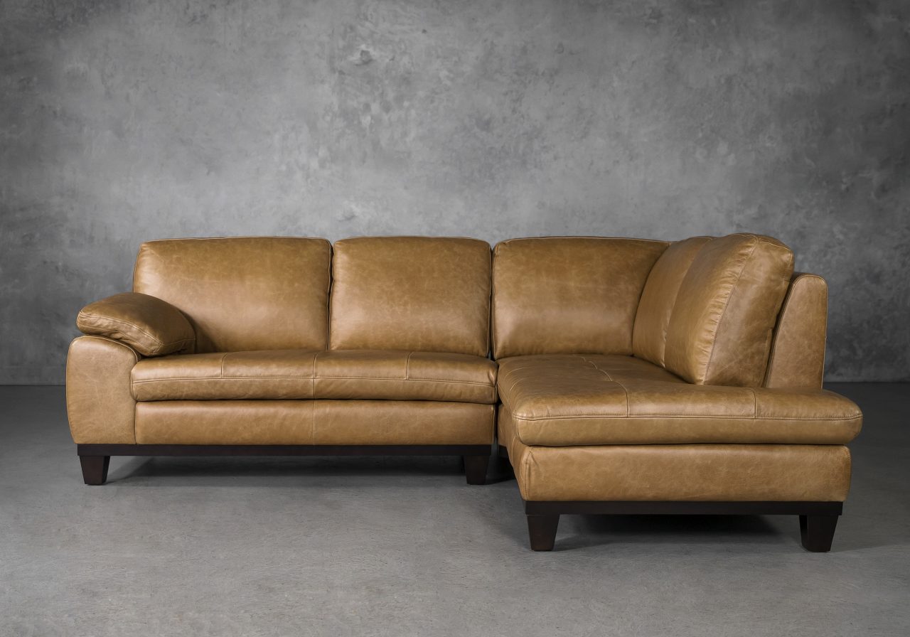 Logan Sectional SR in Camel Leather, Front