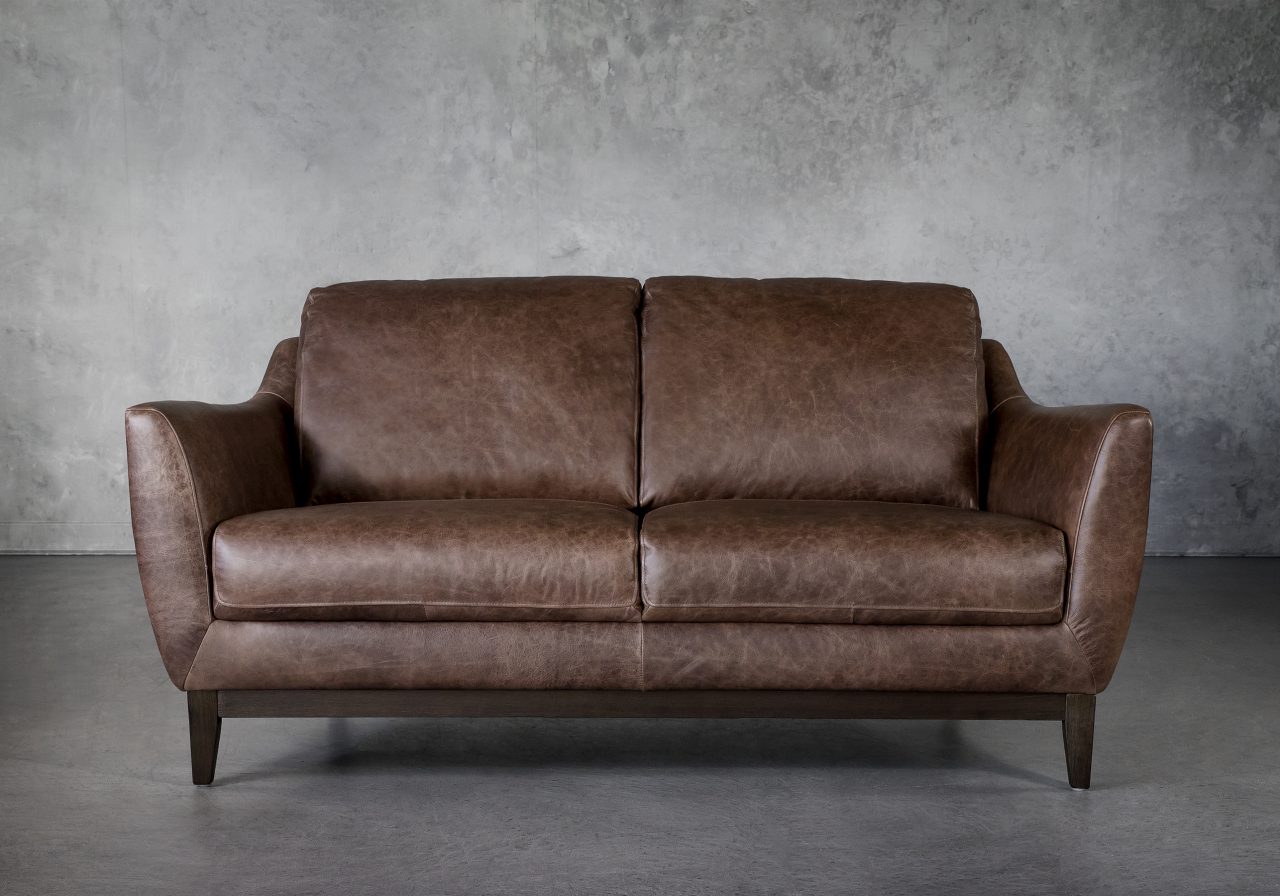 Seth Loveseat in Brown Leather, Front