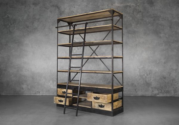 Library Bookcase, Angle, Ladder