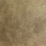 MOCHA (M2892)