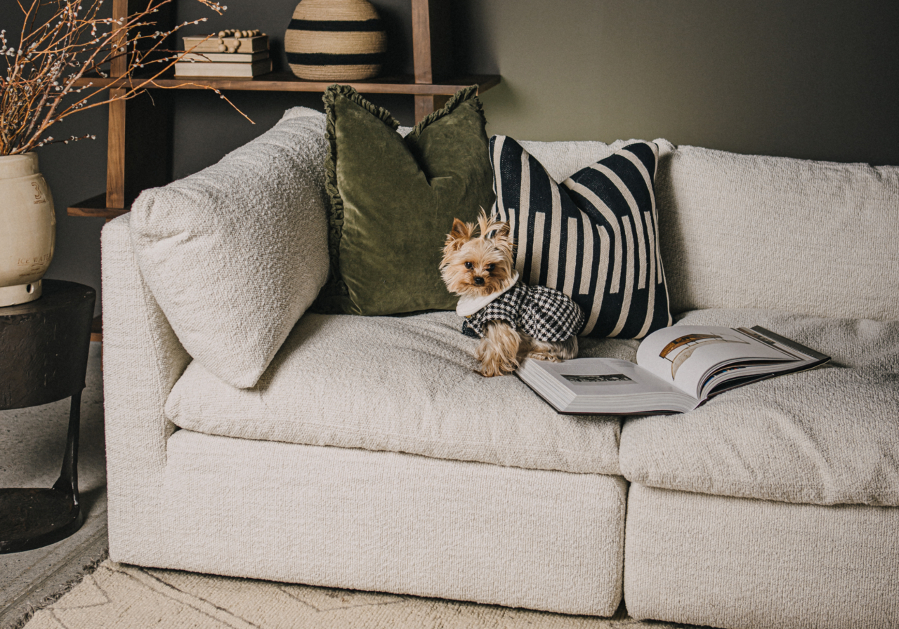 Esha Sectional in Pearl