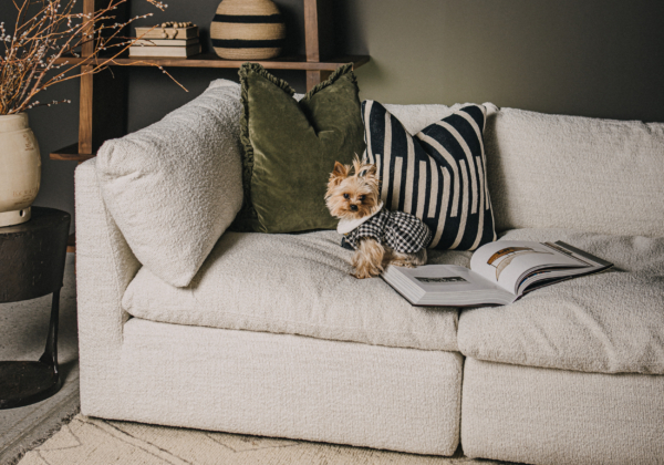 Esha Sectional in Pearl