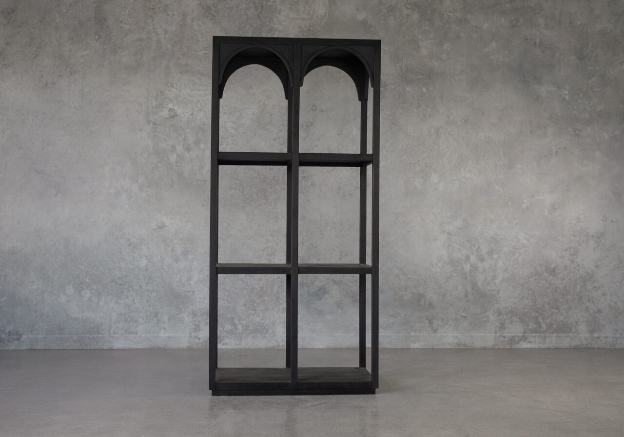 shankar-bookcase-featured