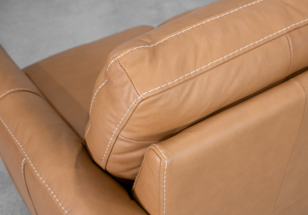 Ford Leather Loveseat in Oslo Antelope - Close Up - 2
