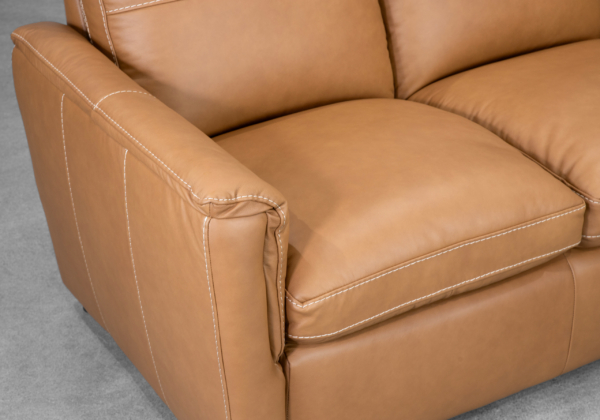 Ford Leather Sofa in Oslo Antelope - Close Up